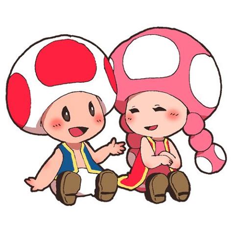 toad and toadette|toad and toadette relationship.